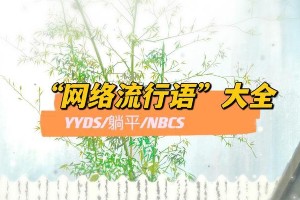 2023最新网络流行语缩写大全：30+黑话解析