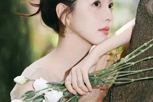 精彩图片集锦：视觉盛宴一览